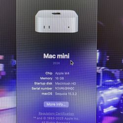 Mac mini M4 16gb
