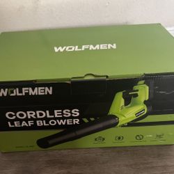 Leaf Blower, Electric Cordless Leaf Blower with 2 Batteries and Charger, 2 Speed Mode, Lightweight Leaf Blowers for Blowing Leaves, Patio Cleaning, La