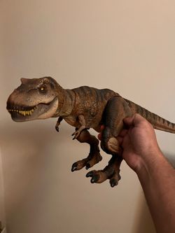 Hammond collection T.rex