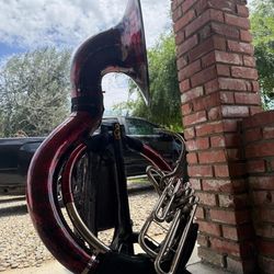 Grupo con Tuba