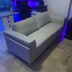 Light Gray Leather Sofa