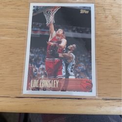 Basketball Card Luc Longley