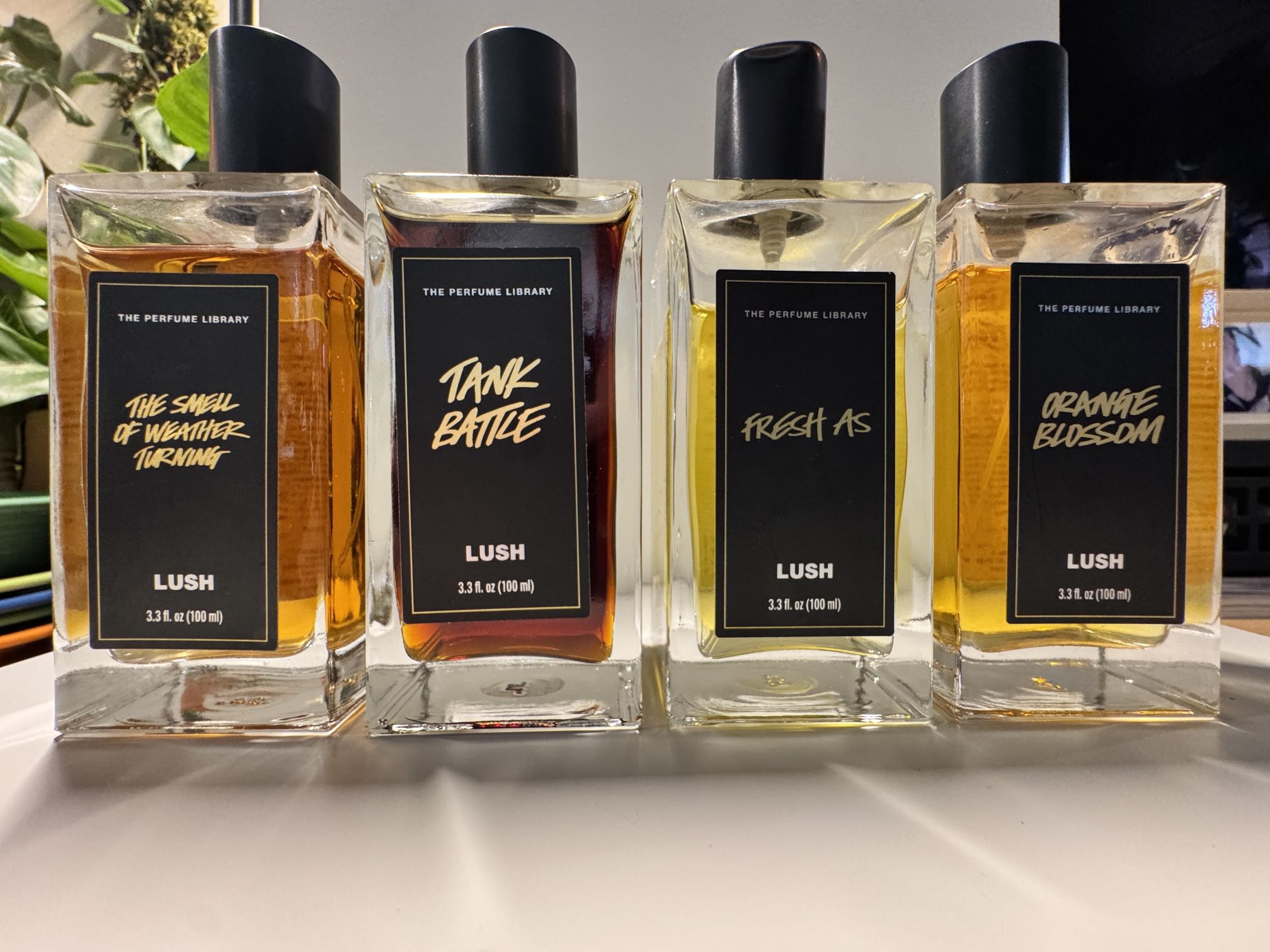 Lush Perfume Fragrances Scents
