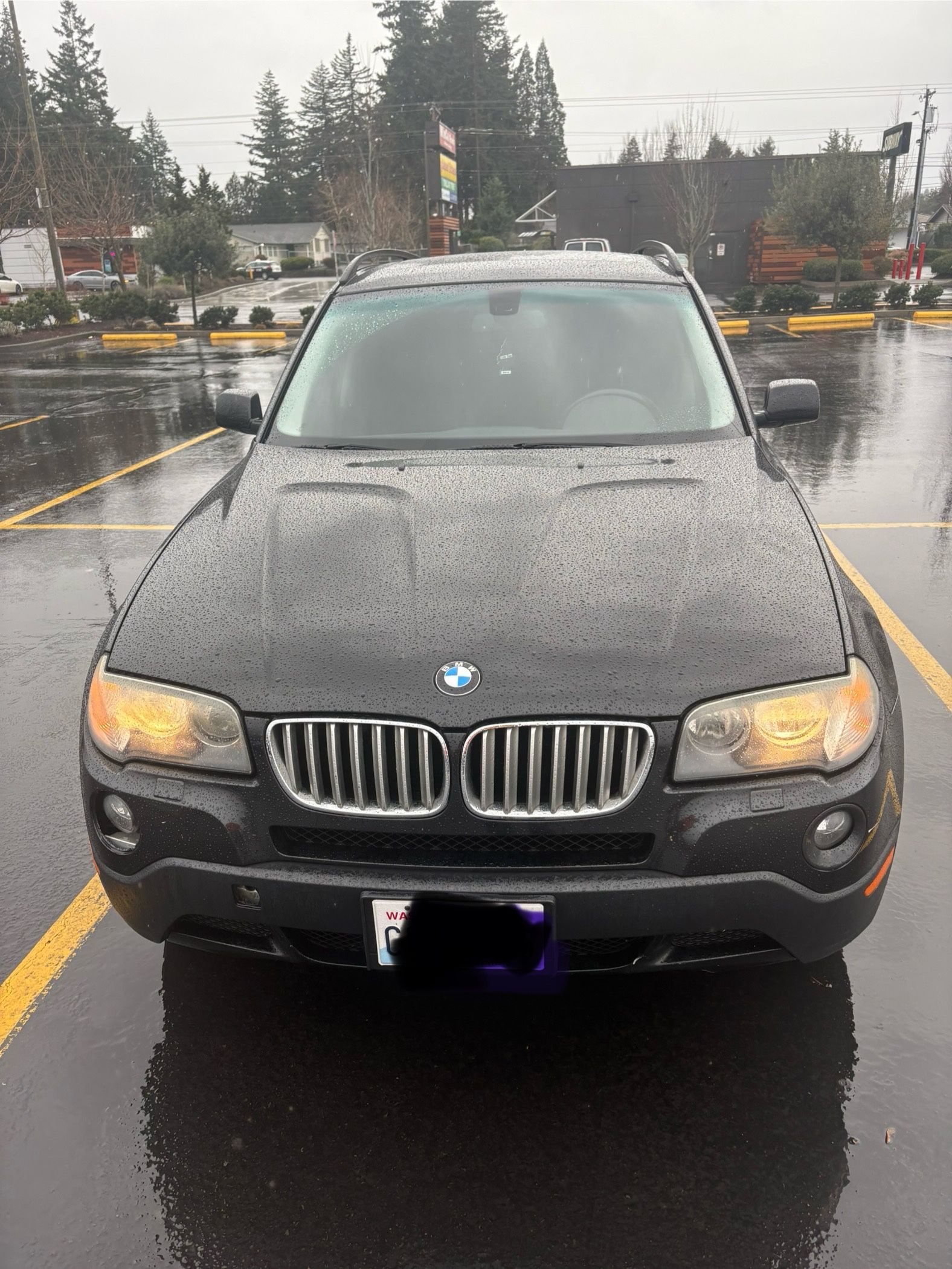 2008 BMW X3