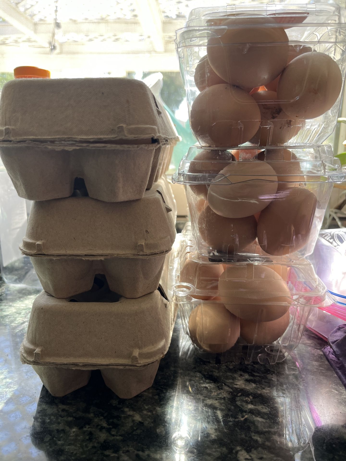 One Dozen Fresh Eggs (6 Available)