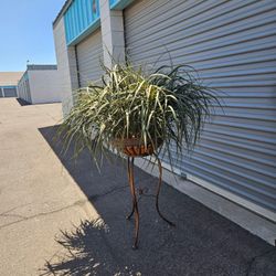 48" Artificial Plant In  Metal base 