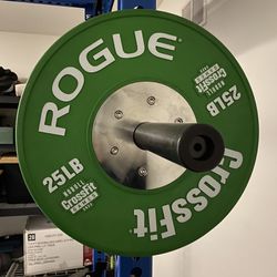 Lightly Used Rogue Fitness Bumper Plates Weight Plates CrossFit Home Gym