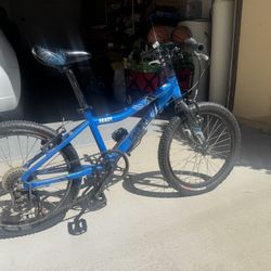 Raleigh Rowdy 20inch Bike Blue