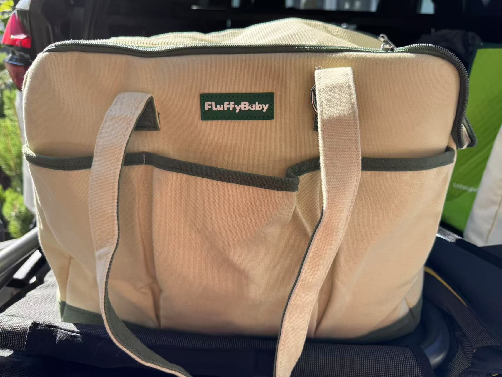 Pet carrier Approved On Flight