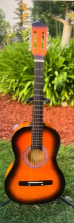 Brand new guitars