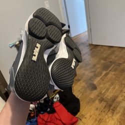 Lebron James Shoes