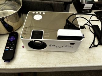 Pericat projector with roku and case
