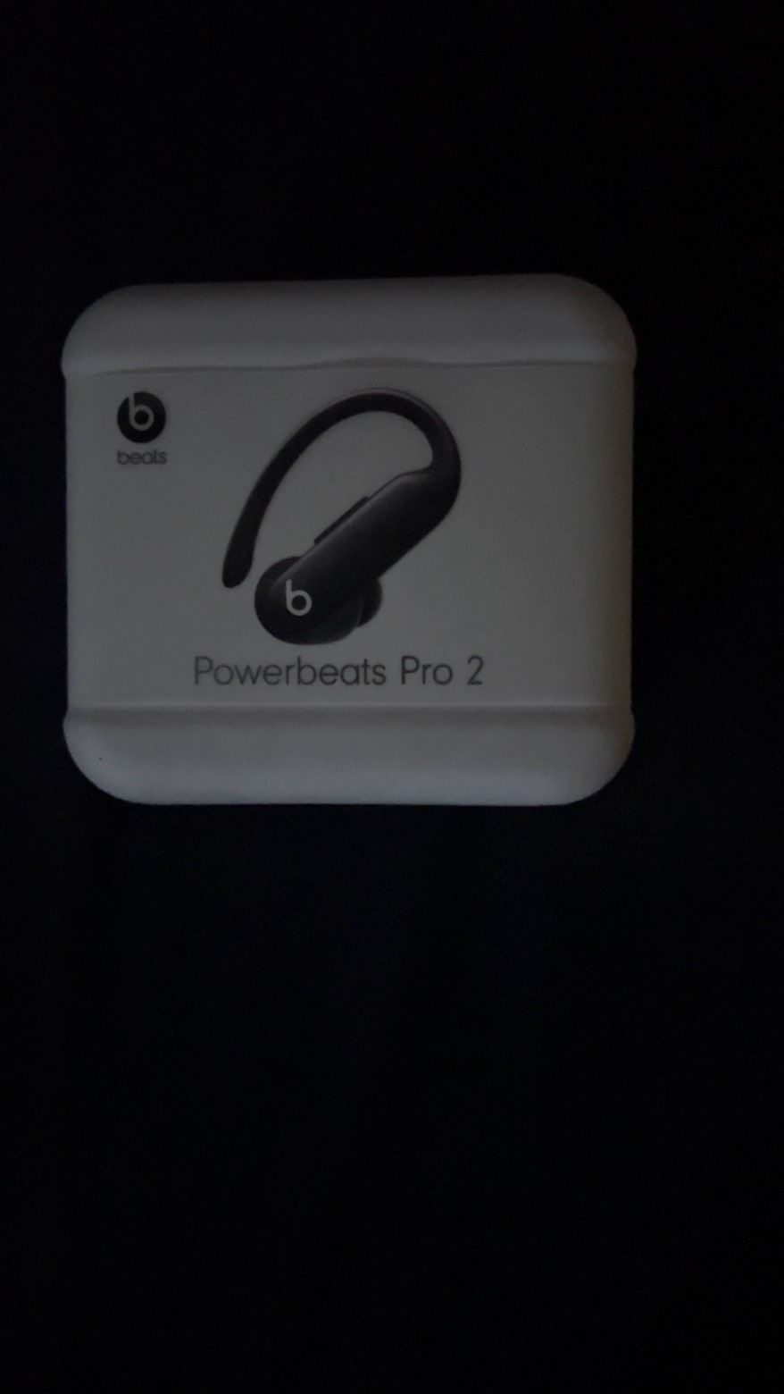 Power Beats Pro 2