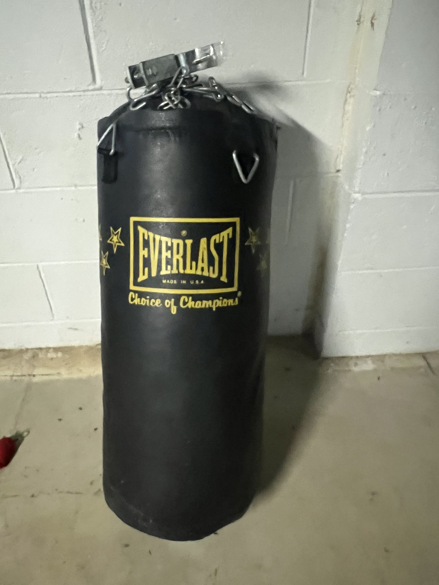 Barely Used Everlast Punching Bag