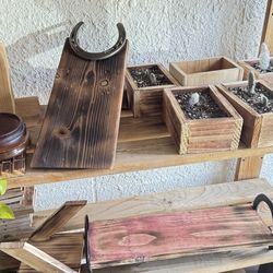 Cedar wood gifts, plants of succulents