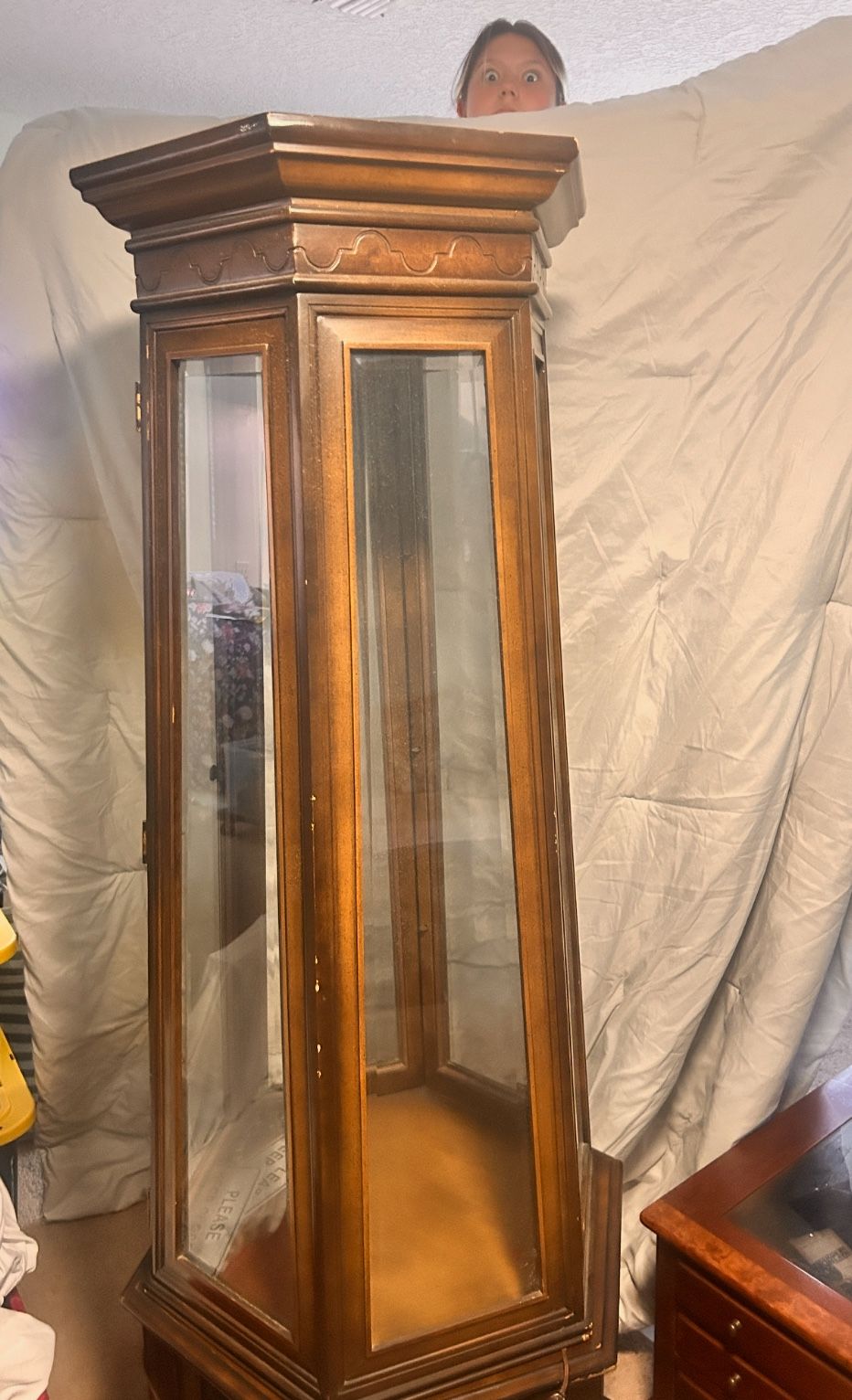 Glass and Wood Case