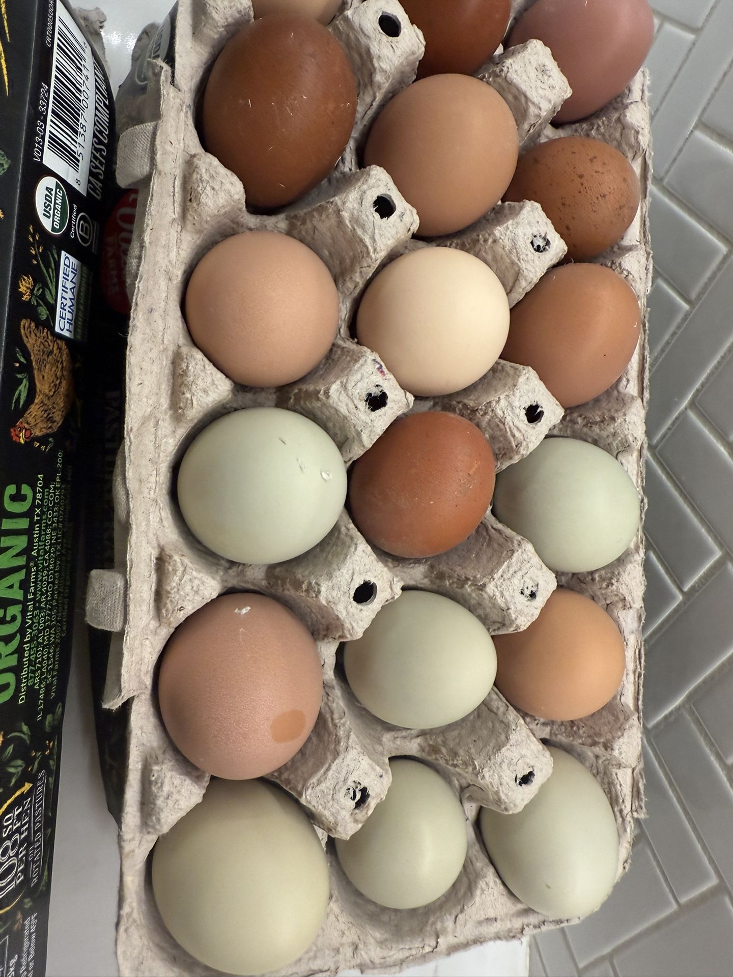 Farm Fresh Eggs - Ungraded