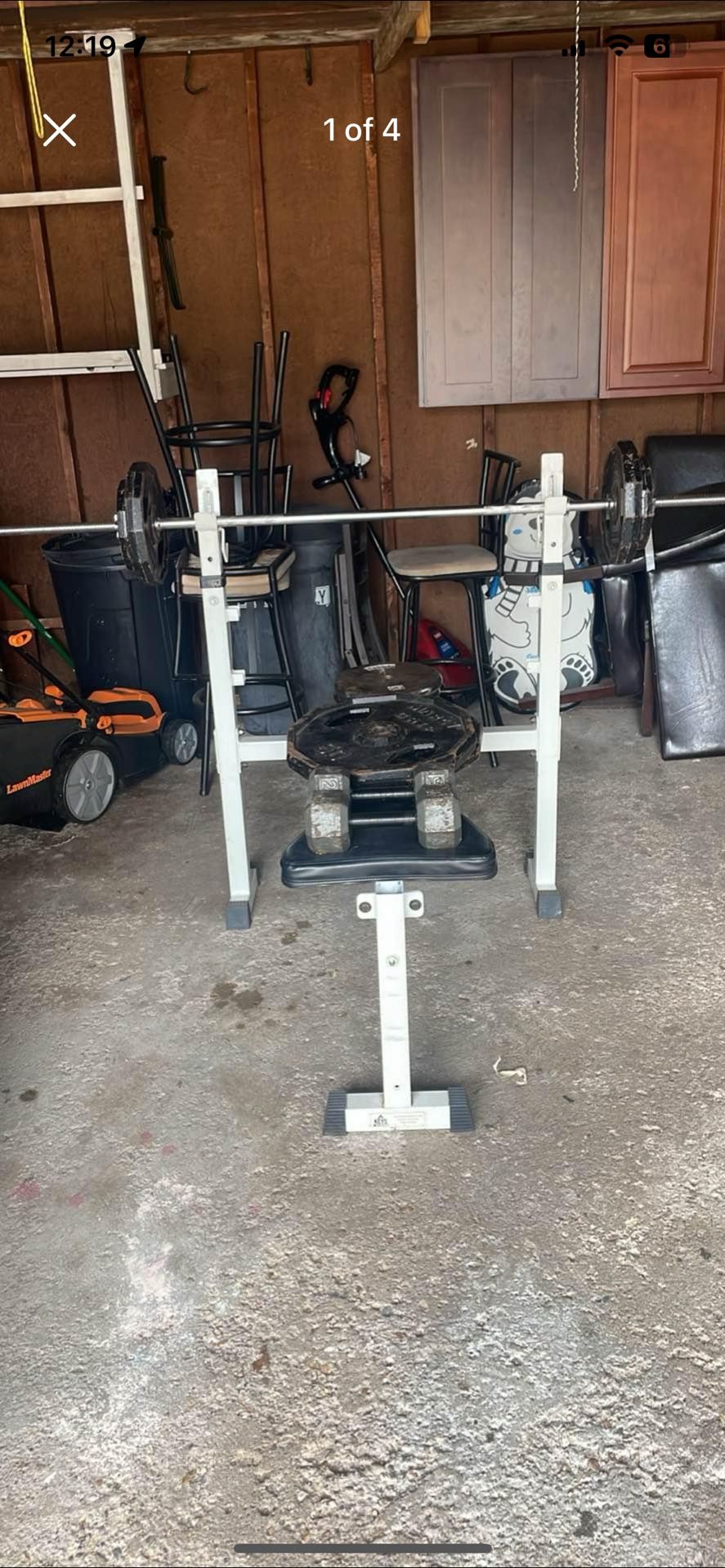 Gym Bench Press With Dumbbells 