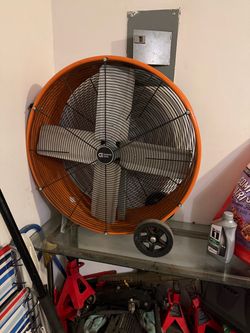 Big fan
