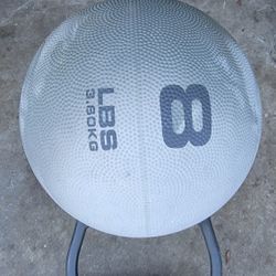 8lb Weight Ball With Handle