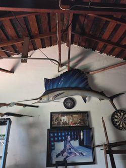 Over sized  Sail fish/ marlin. With wall mount.  9feet tall