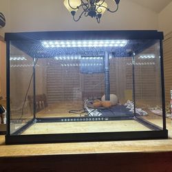 20 Gallon Fish Tank Starter Kit