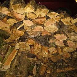 Firewood