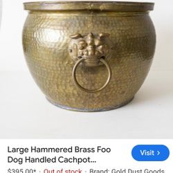 Large Hammered Brass Food Dog 