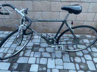 Schwinn World Road Bike, The dimensions of the painting are 18 in height and 21 in length.