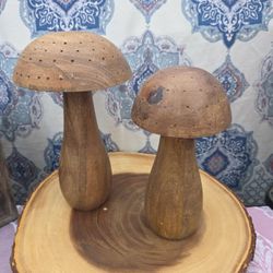 Shrooms! Mushrooms, wooden mushrooms!