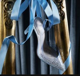 Disney x Aldo Glassslipper Cinderella Multi Size NEW IN BOX 100% Authentic