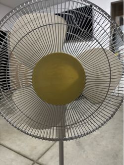 Fan