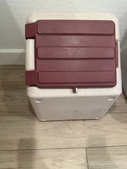 dog food storage container
