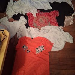 BLUSAS DE MUJER SIZE L  $3 CADA UNA EN SUN VALLEY 