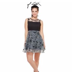 Halloween Black Bat and Spider Dress Spirt Halloween Size XL
