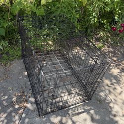 Large Crate