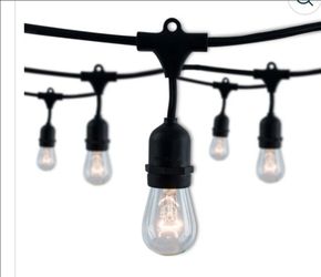 Black outdoor string lights by Bulbrite.   48 feet long. Commercial quality