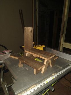 Squirrel 🐿️ Feeder