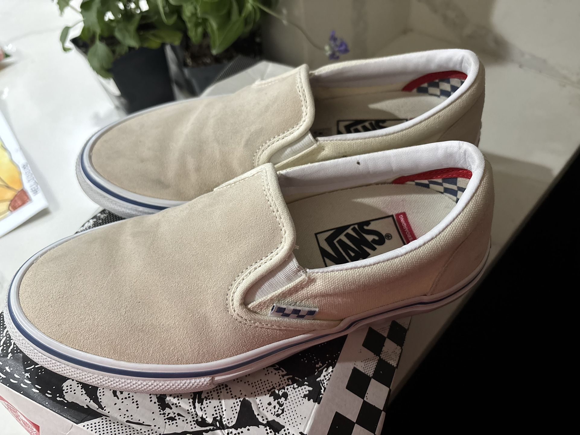 VANS POP Cush Shoes
