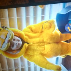 Porcelain dolls set from Garfield it's Garfield and Odie perfect have papers no box the set is 195