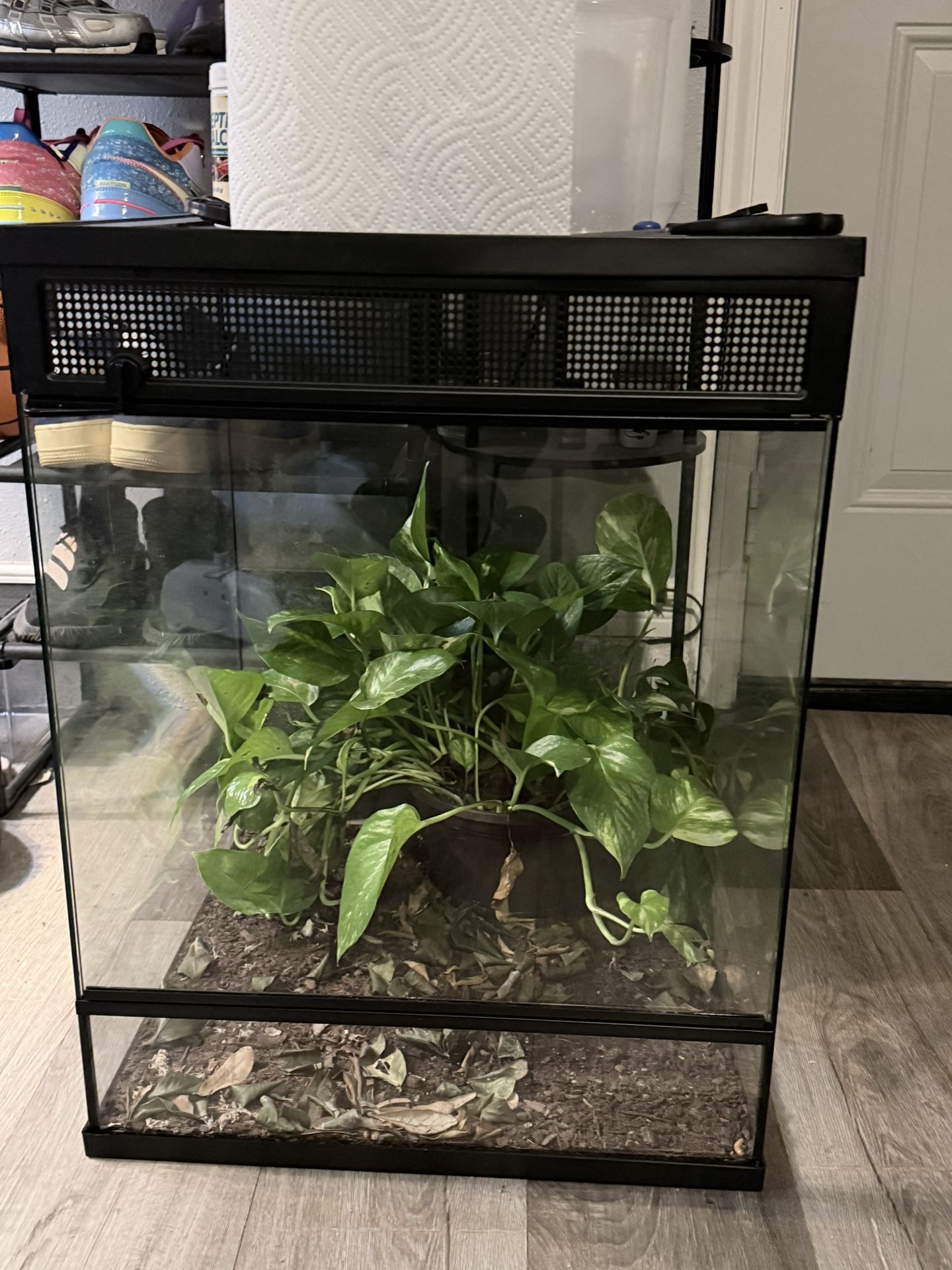 Thrive Tropical Reptile Terrarium Essentials Kit - 30 Gallon