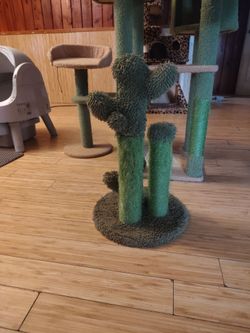 Cat items