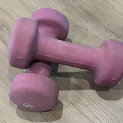 Neoprene Coated Pink Dumbbell Weight Set 5 lb