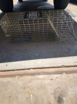 Humane live animal trap cage