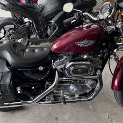 2003 Harley Davidson anniversary Sportster