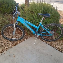 Shwinn Bicycle