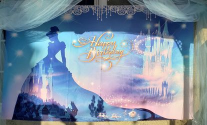 Cinderella Back Drop 5ft×3ft