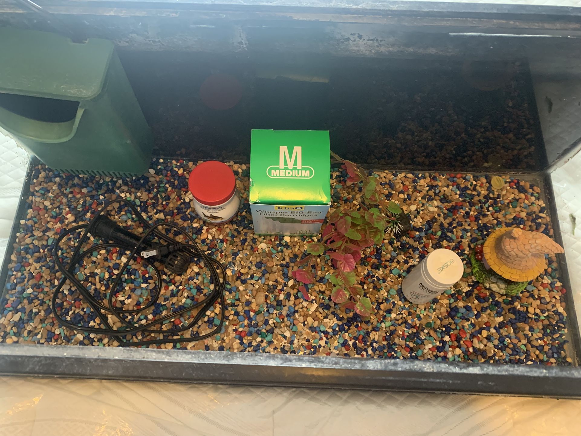 20 Gallon Fish Tank