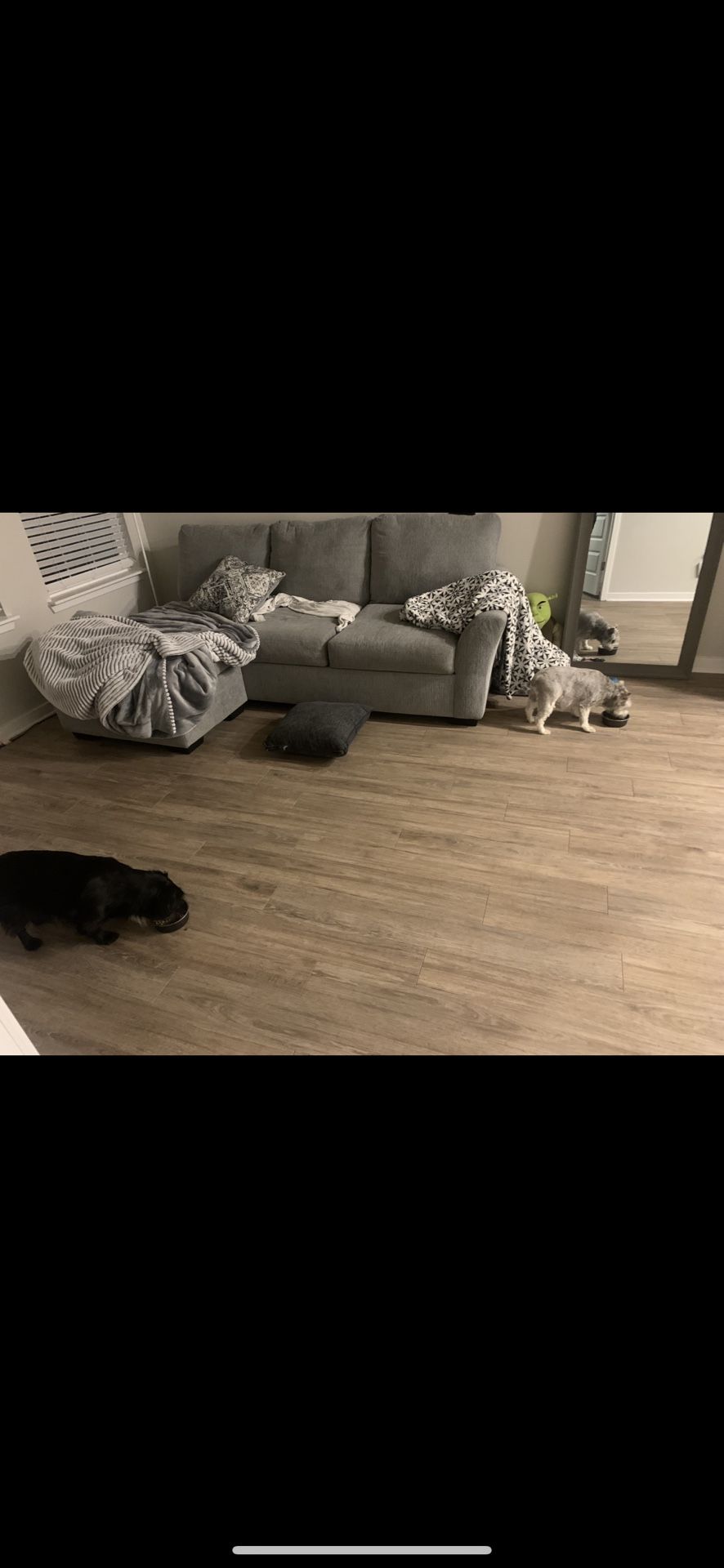 Grey Couch!