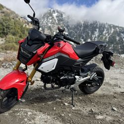 2020 Honda Grom Like New